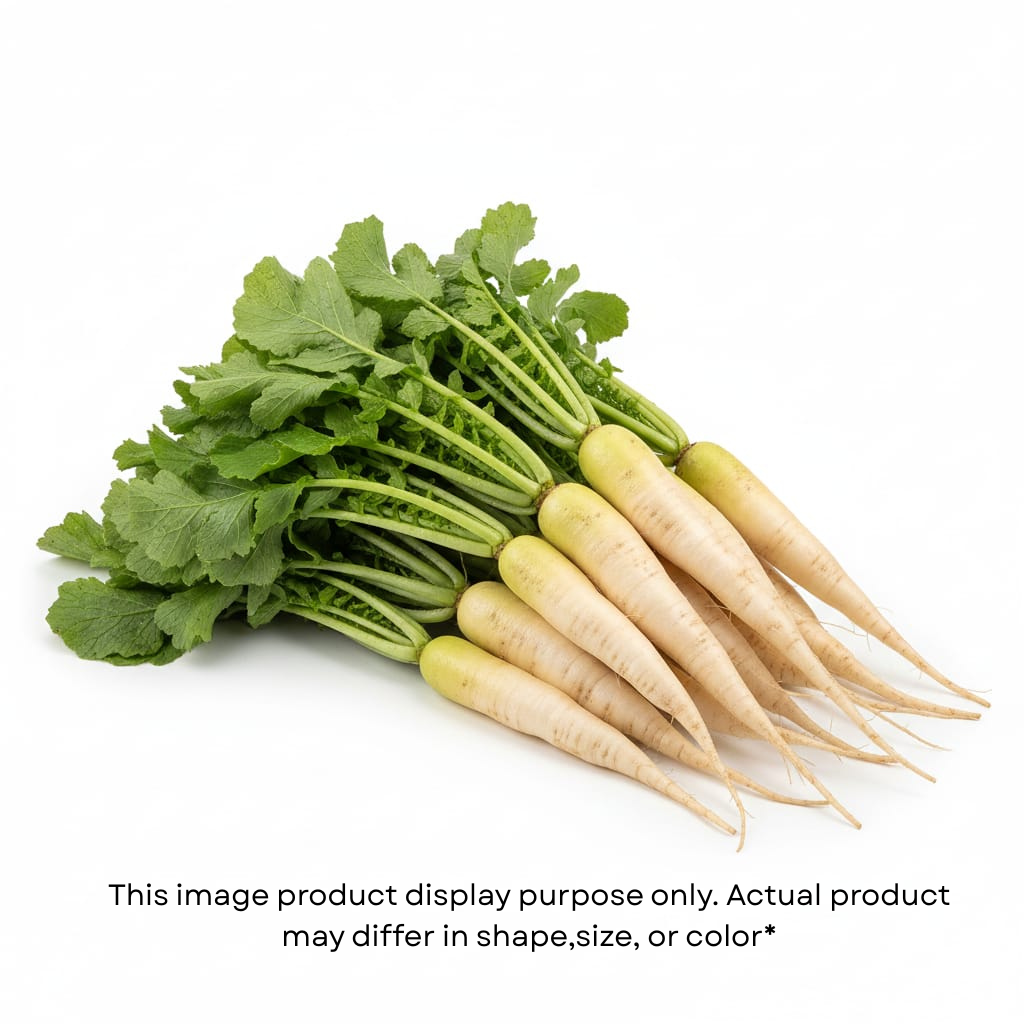Daikon radish (મૂળો )