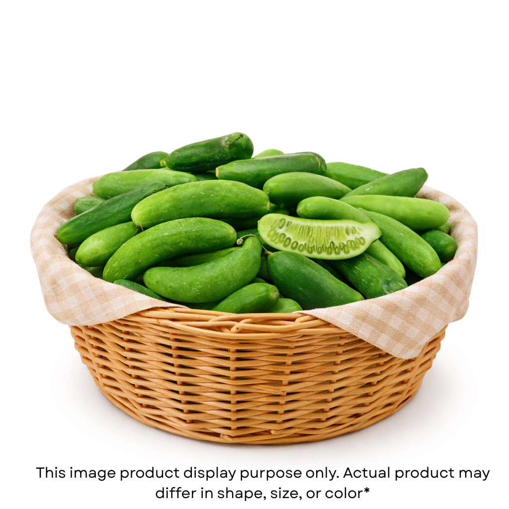 Giloda (ગીલોડા)