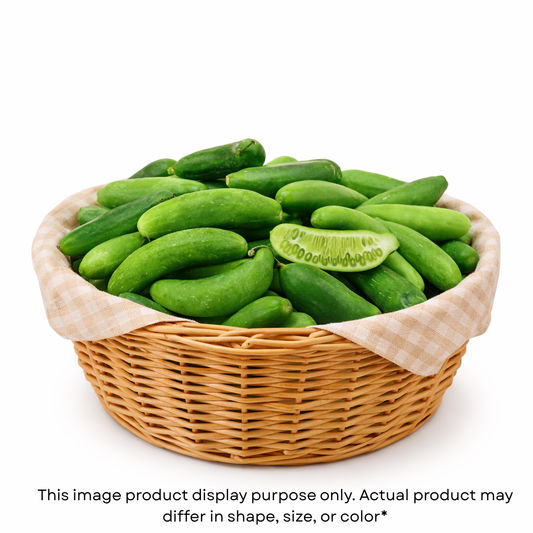 Giloda (ગીલોડા)