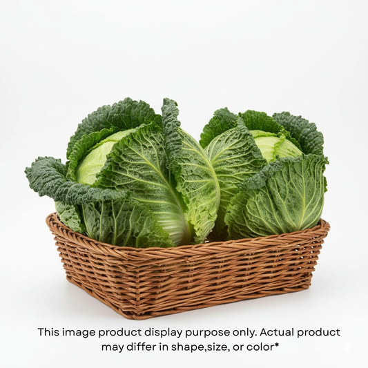 Cabbage (કોબી)